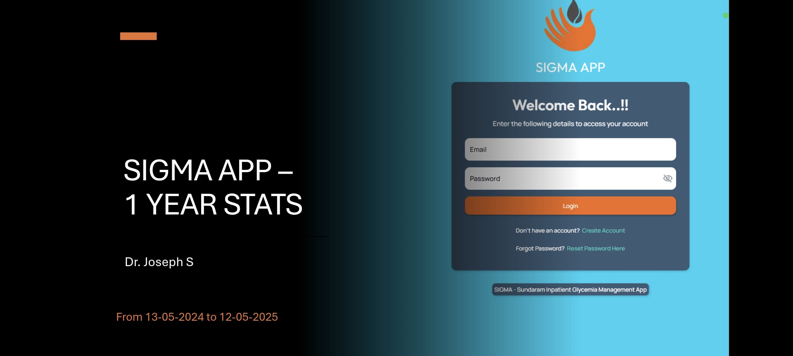SIGMA app one-year statistics presentation